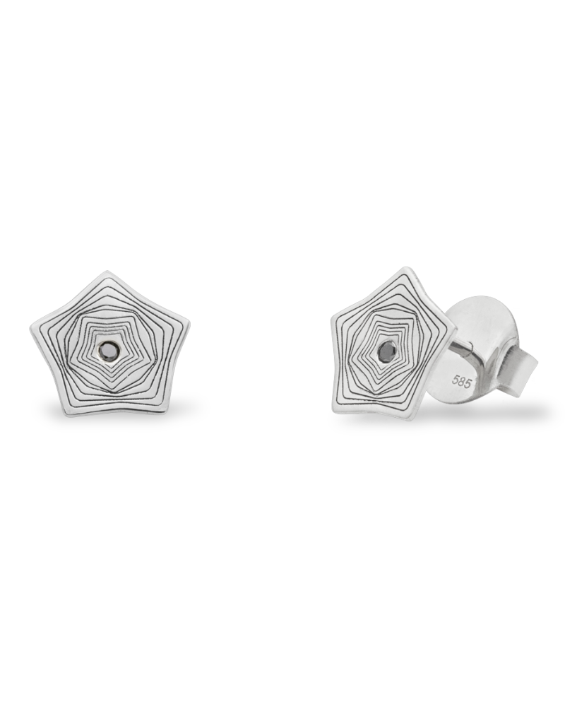 cercei-stelute-aur-alb-diamante-negre