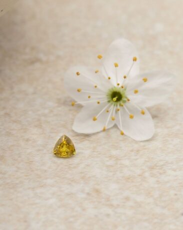 safir-natural-galben-trillion-cut